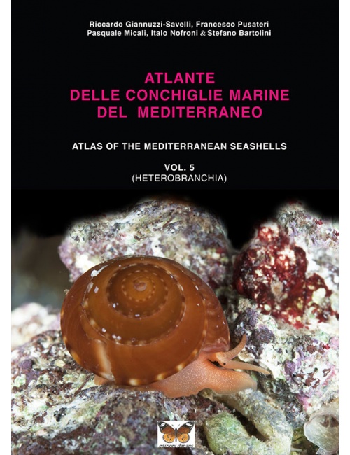 atlantidel-delle-conchiglie-marine-del-mediterraneo